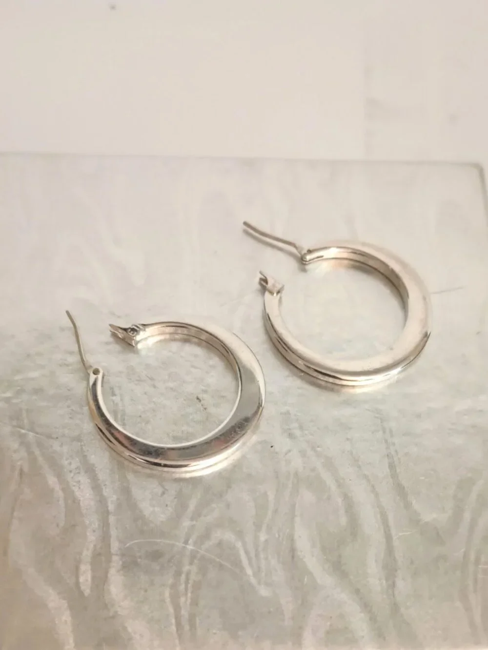 Women's Stainless Steel Hoop Earrings Flat Round Silver Tone